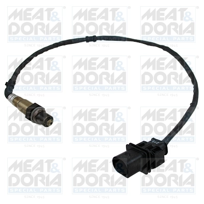 Oxygen Sensor